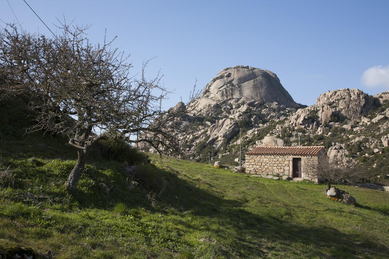 Aggius Locanda Li Manni מראה חיצוני תמונה