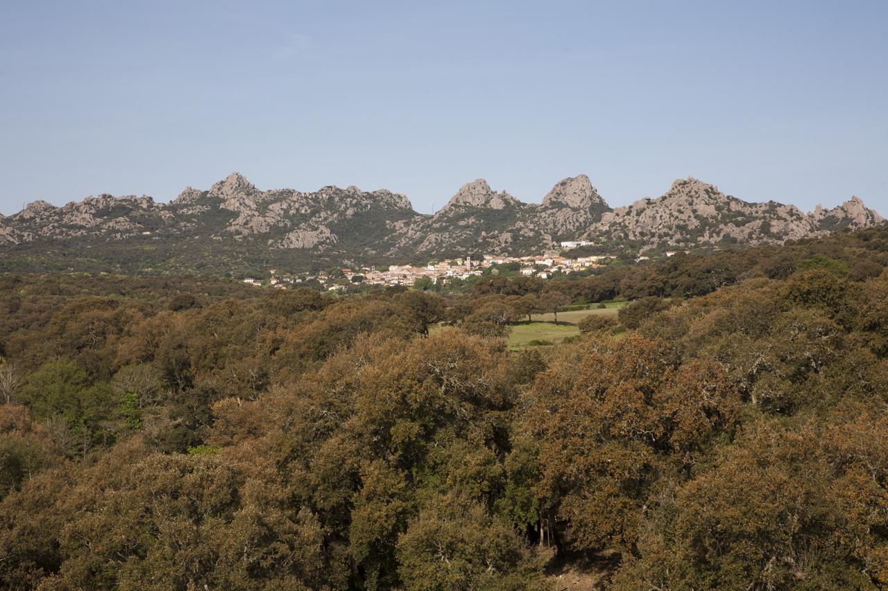 Aggius Locanda Li Manni מראה חיצוני תמונה